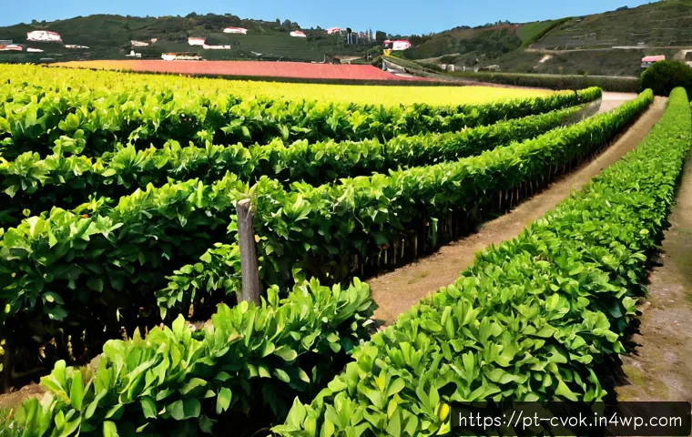 Proteínas vegetais na cozinha vegana: como escolher, preparar e comparar custo por refeição 4 비건 조리법에서의 대체 단백질 활용법 관련 이미지 2